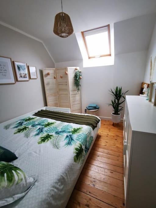 Guest House 60M2 Tout Confort Erquy Eksteriør bilde